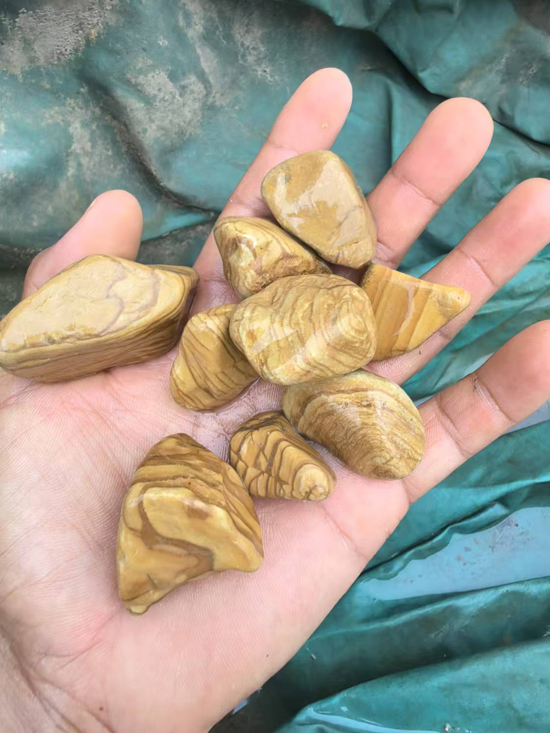 黄中带绿石米